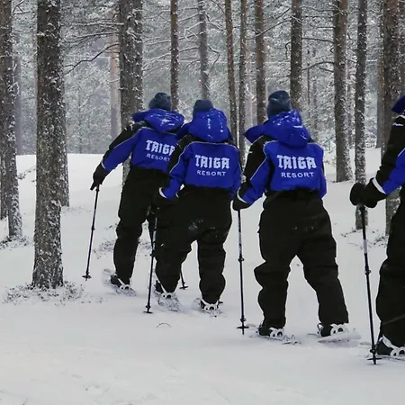 Taiga Θέρετρο *