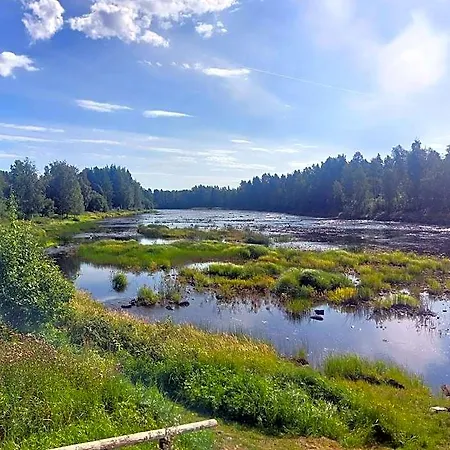 Taiga Haukipudas