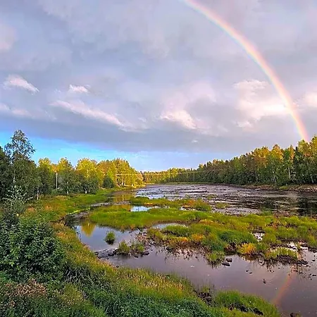Taiga * Haukipudas