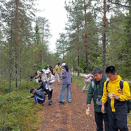 Ośrodek wypoczynkowy Taiga *